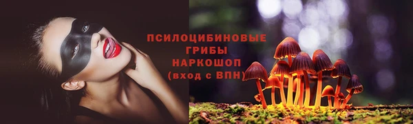 кокаин Каменка