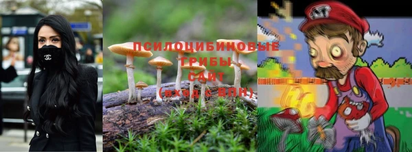 jwh Каменногорск
