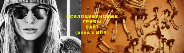 jwh Каменногорск